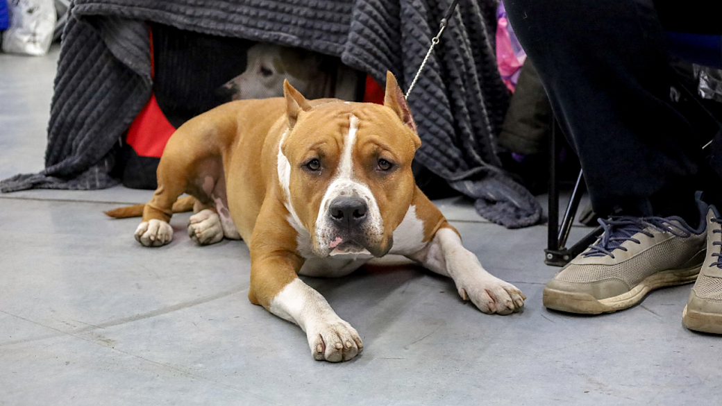 Фото: Elena Mayorova/Global Look Press