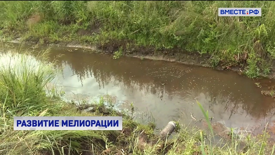 Local video