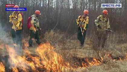 В Амурской области спасатели локализовали крупный пожар около наукограда Циолковский