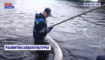 Перспективы развития товарной аквакультуры обсудили в Карелии