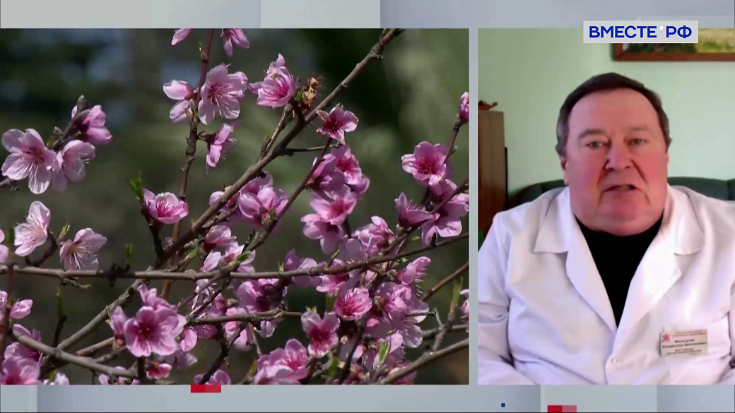 Сказано в Сенате. Владислав Жемчугов. Начало сезона аллергий