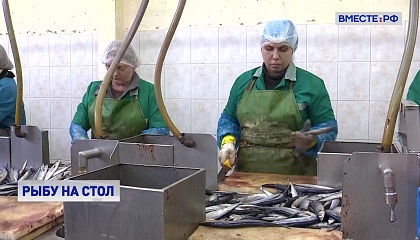 Сенаторы готовы поддержать Минсельхоз в продвижении рыбной продукции