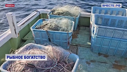 Сенаторы поддержали денонсацию соглашения, разрешающего британцам ловить рыбу в Баренцевом море