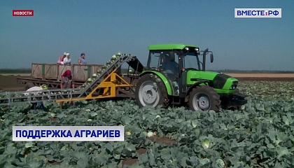 Для привлечения инвесторов в агропром будет создана Российская биологическая промышленная компания