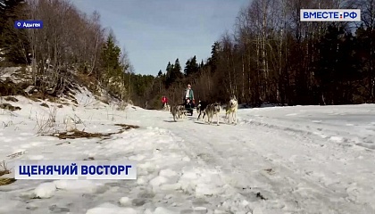 Кавказский заповедник начал зимний сезон катанием на собачьих упряжках