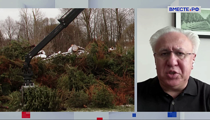 Глава Российского экологического общества Рашид Исмаилов призвал ответственно относиться к утилизации новогодних ёлок