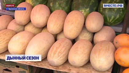 В России стартовал сезон дынь