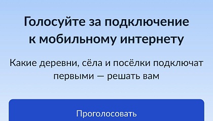 Голосование за доступный интернет в малых деревнях продлили до 10 сентября