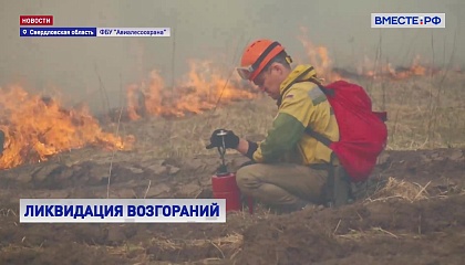 В Свердловской области парашютисты-десантники Авиалесоохраны локализовали крупный лесной пожар