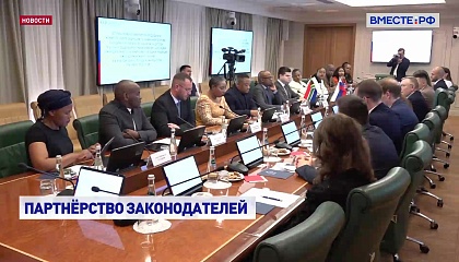 Сенаторы обсудили с коллегами из ЮАР вопросы межпарламентского партнерства