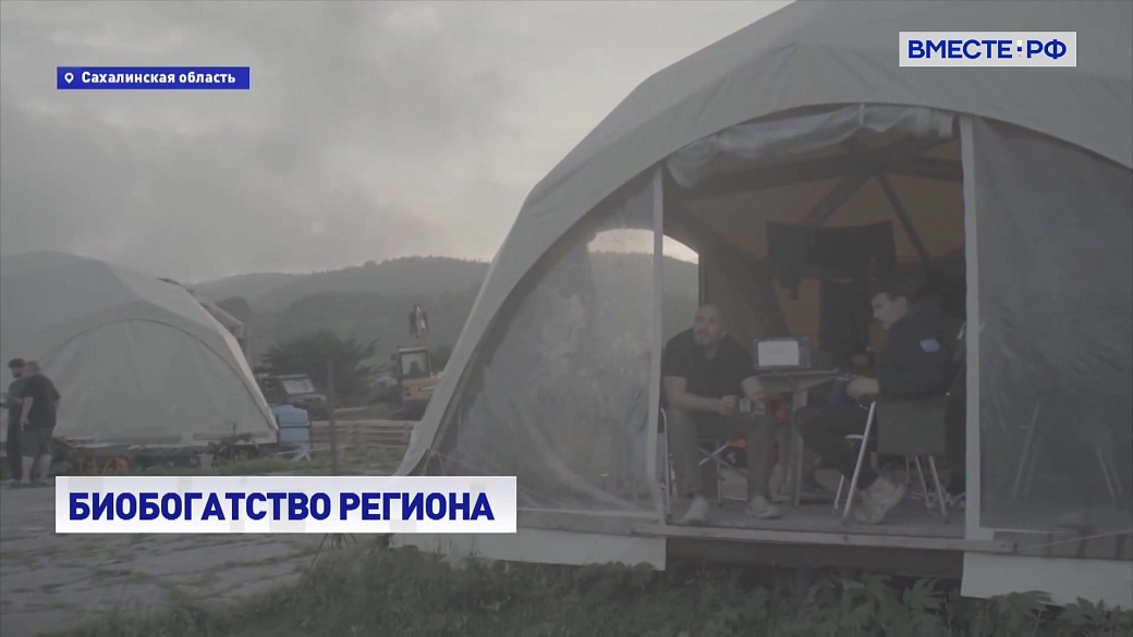 Local video