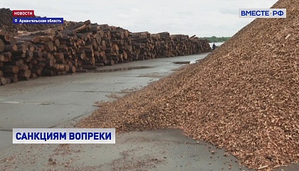 Меры поддержки лесопромышленного комплекса сенаторы обсудили в ходе визита в Архангельскую область