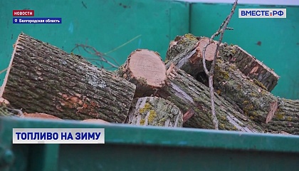 РЕПОРТАЖ: Зимой – с дровами