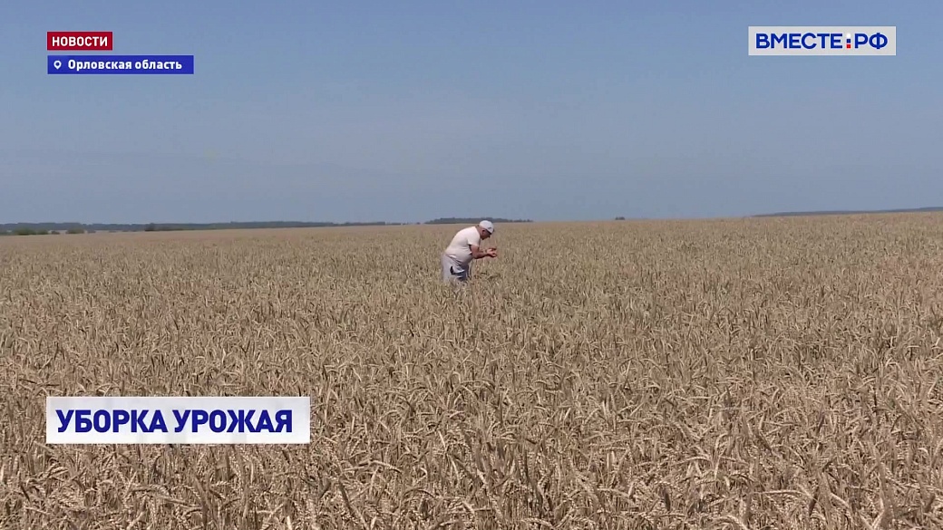 Local video