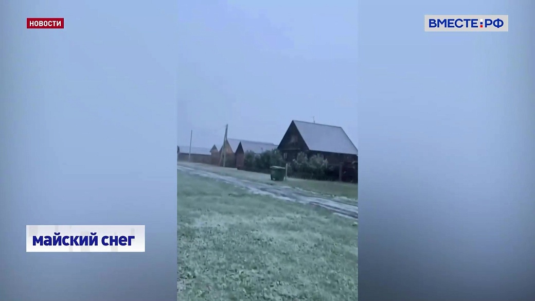 Local video