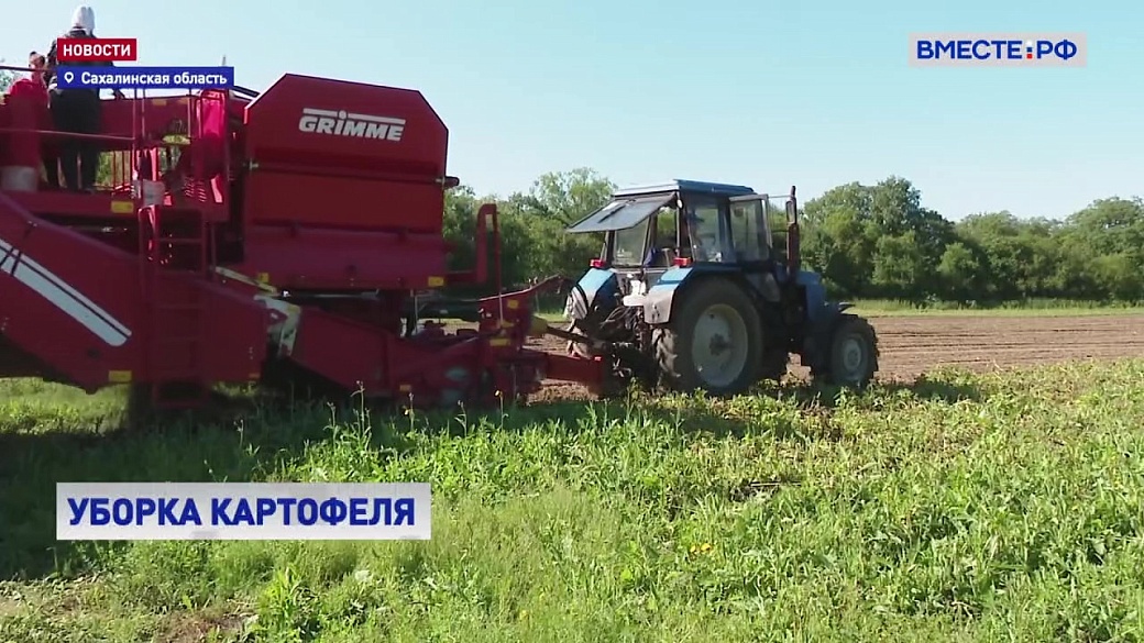 Local video