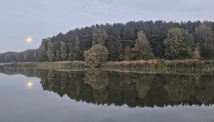 Спутники и дроны выведут черных лесорубов на чистую воду