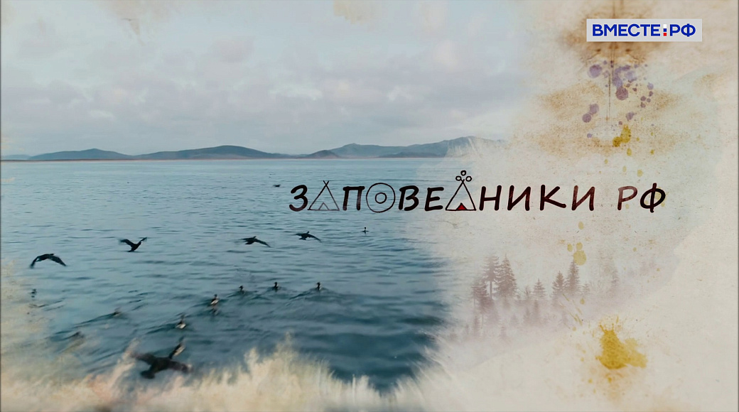 Local video