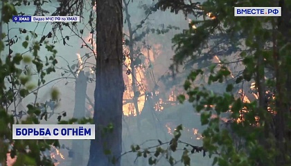 Площадь лесных пожаров в России за сутки увеличилась на 35 тыс га