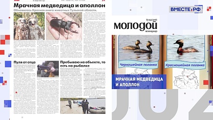 Региональная пресса. Выпуск 31 января 2023 года