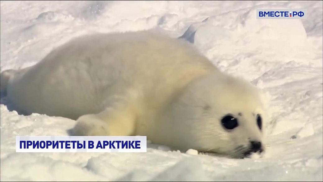Local video