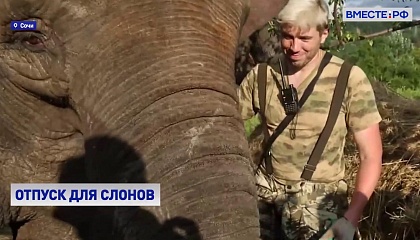 РЕПОРТАЖ: Цирковые слоны на отдыхе в Сочи