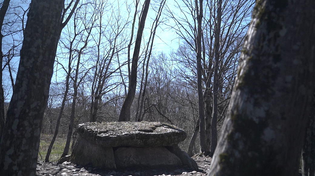 Local video