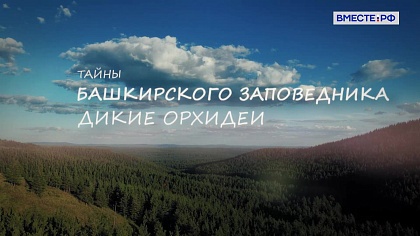 Тайны Башкирского заповедника. Дикие орхидеи