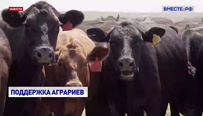Правительство выделило дополнительные средства на субсидирование льготных кредитов для сельхозпроизводителей