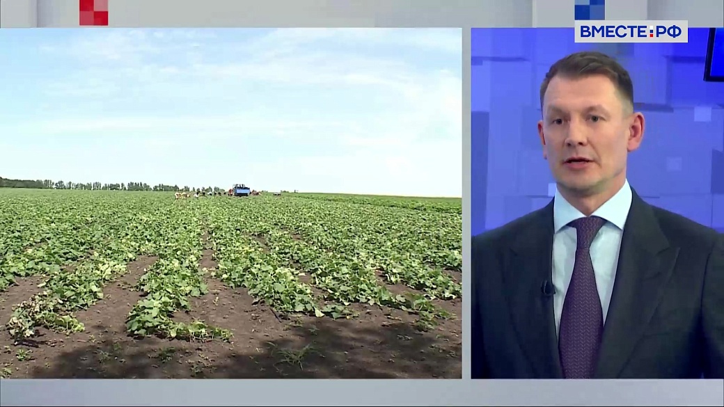 С 2027 года краткосрочные кредиты для сельхозпроизводителей будут привязаны к агрострахованию