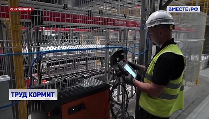 Сенаторы помогут адаптировать рынок труда к изменениям