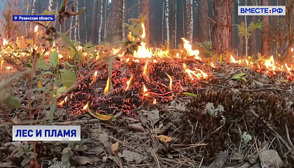 В Рязанской области и в Республике Коми продолжают гореть леса