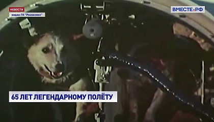 Космический полет Белки и Стрелки: 65 лет историческому событию