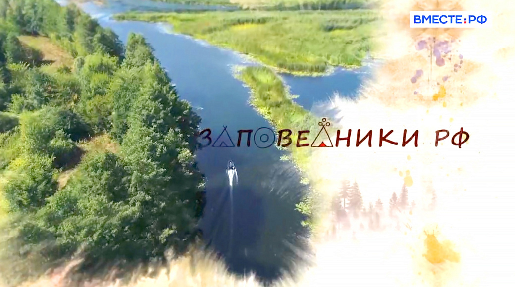 Local video
