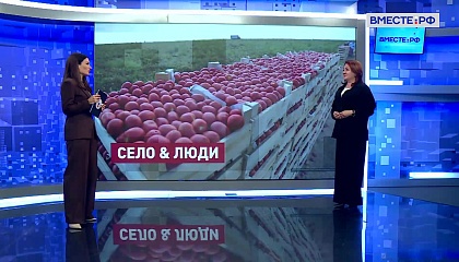 Сказано в Сенате. Наталья Кувшинова. Поддержка фермеров и развитие села