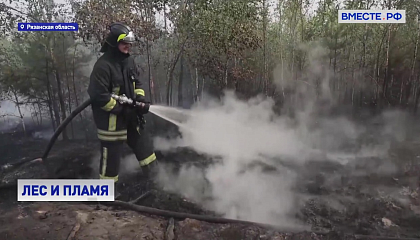 В Рязанской области потушен крупный лесной пожар