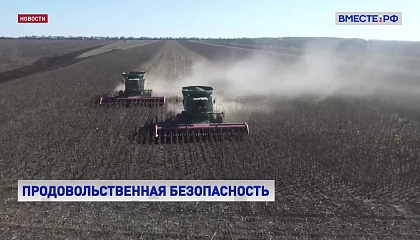 Продовольственная безопасность новых регионов России полностью обеспечена