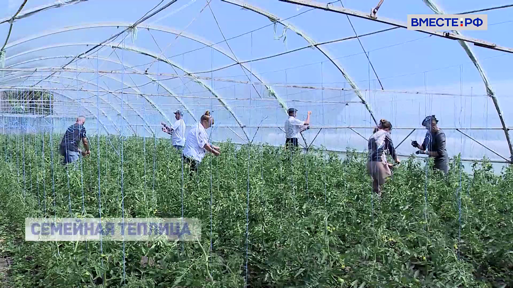 Local video
