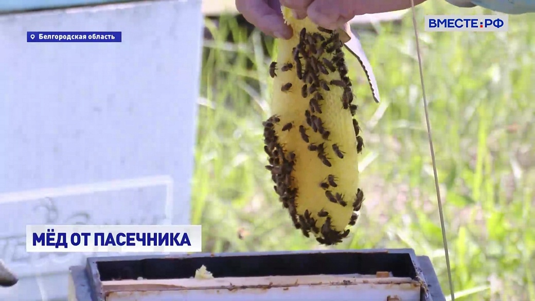 Local video