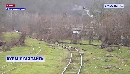 «Матрица»: поезд, который кормит горы