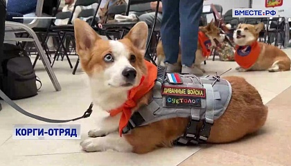 Уникальному корги-отряду из Подмосковья присвоили имя Героя России Магомеда Гасанова