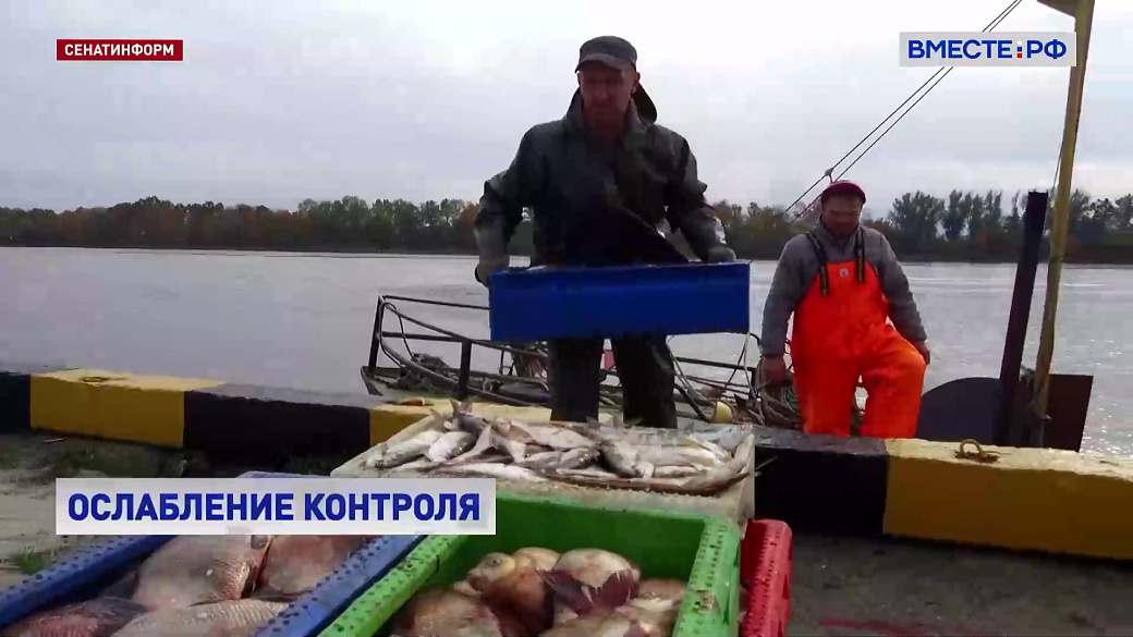 Local video
