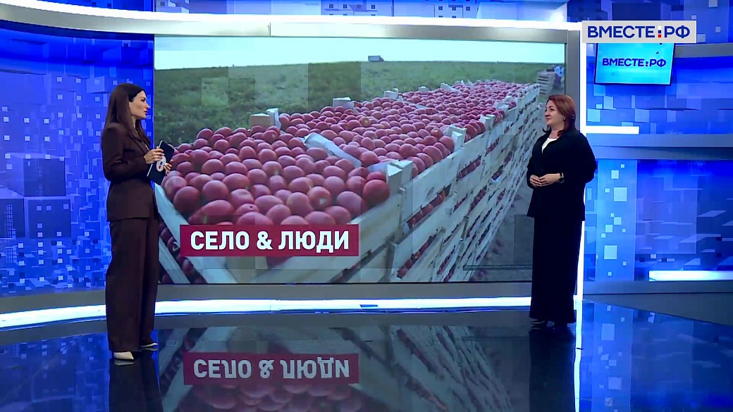 Сказано в Сенате. Наталья Кувшинова. Поддержка фермеров и развитие села