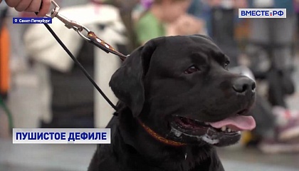 РЕПОРТАЖ: Город собак