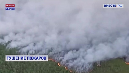В России ликвидированы 75 лесных пожаров на площади почти 8 тыс га
