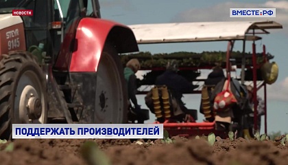 На поддержку малых агропроизводств государство в 2024 году направит не менее 15 млрд рублей