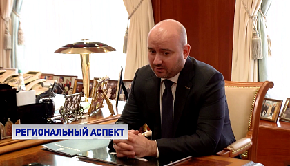 Спикер СФ обсудила развитие Самарской области с главой региона