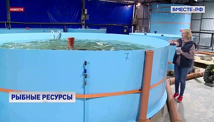 Чтобы остановить сокращение популяции сиговых рыб в Обь-Иртышском бассейне, нужно доработать целевую программу, считают в СФ