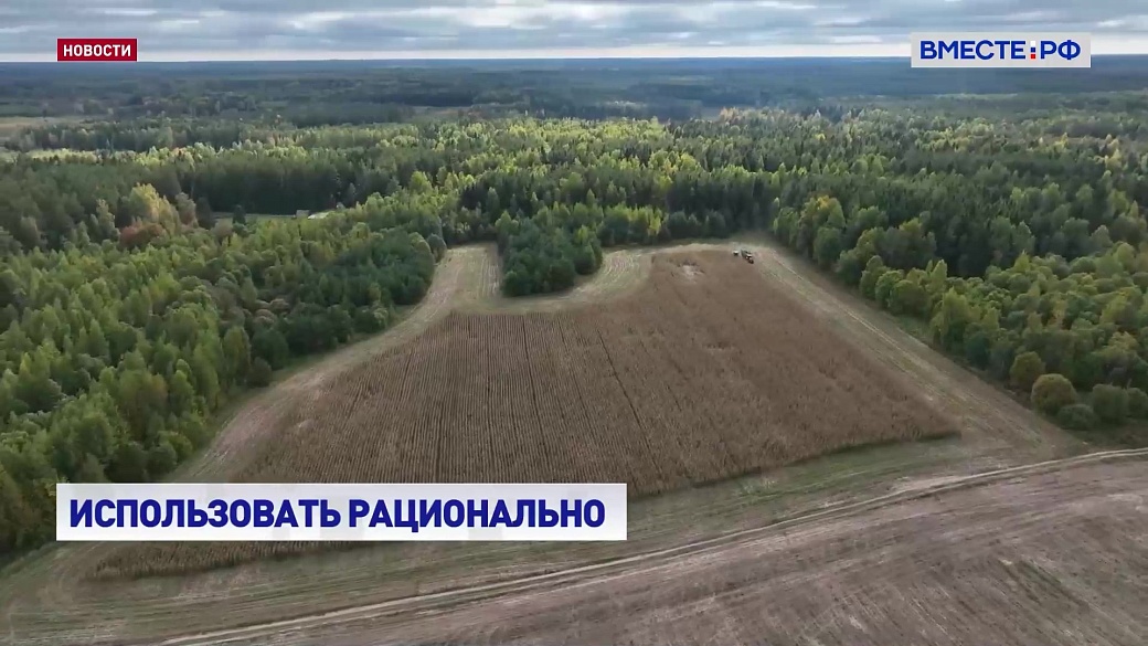 Local video