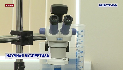 Сенатор Гумерова: в России нужно создать четкую систему проведения научной экспертизы